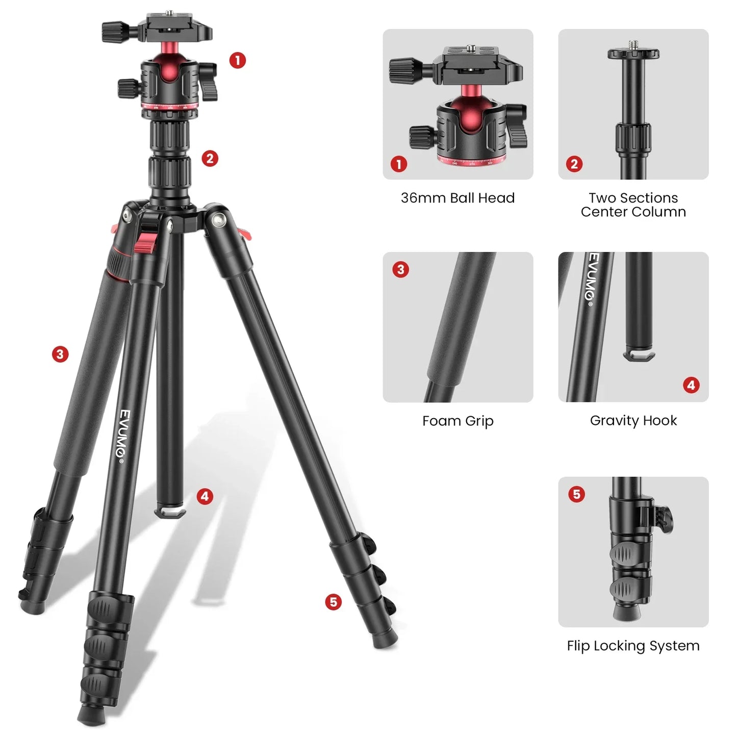 EVUMO GF2 Reisestativ, 1,73 m, Kamera aus Aluminiumlegierung, Telefon, leichter Ständer mit Arca Swiss Plate 360° °   Drehbarer Kugelkopf, 8 kg Belastung