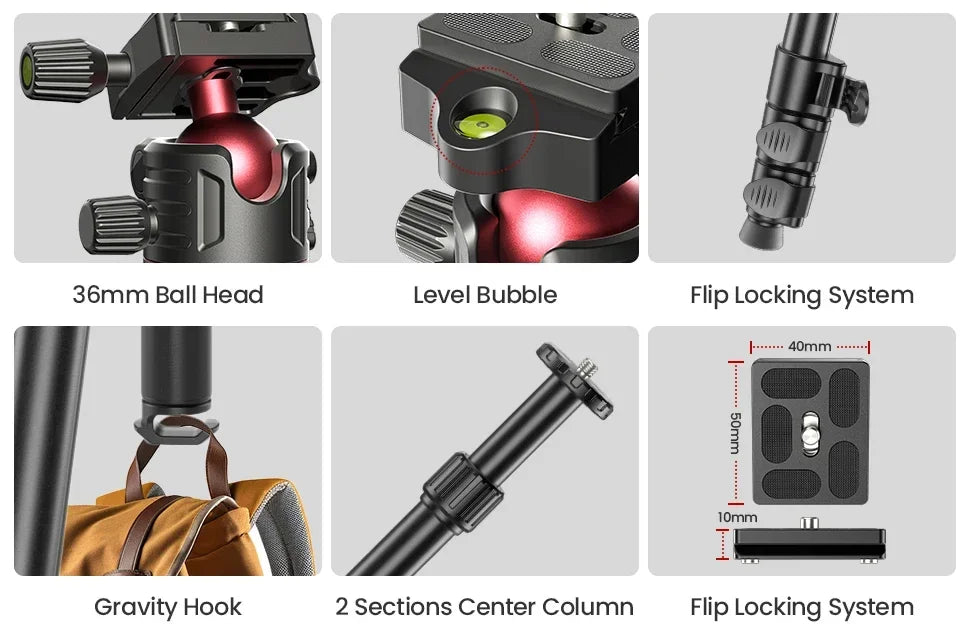EVUMO GF2 Reisestativ, 1,73 m, Kamera aus Aluminiumlegierung, Telefon, leichter Ständer mit Arca Swiss Plate 360° °   Drehbarer Kugelkopf, 8 kg Belastung