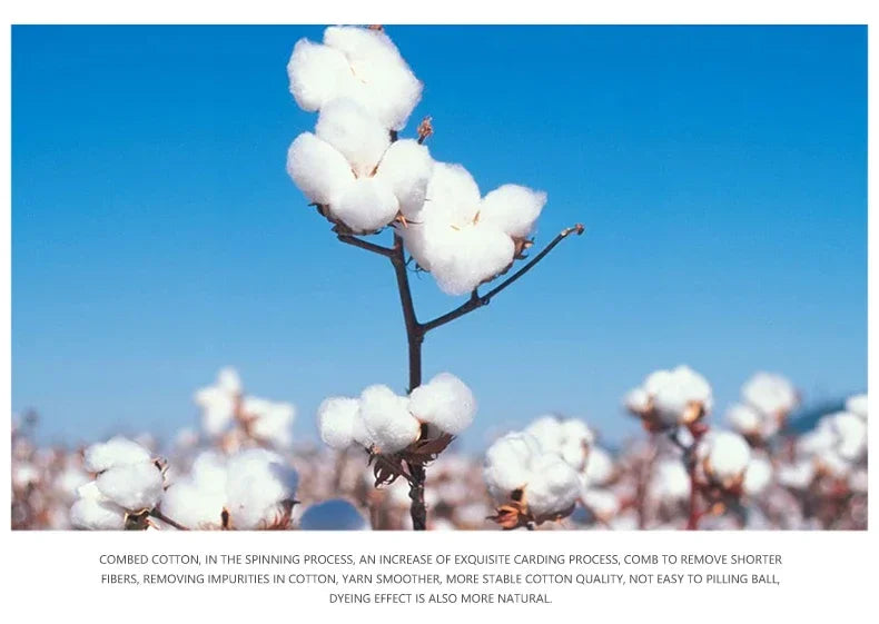 Männer Jeans Reine Weiße Mode Elastische Dünne Jugend Abnehmen Gerade Bein Männliche Hosen Business Casual Mittleren Alters High-End-Hose