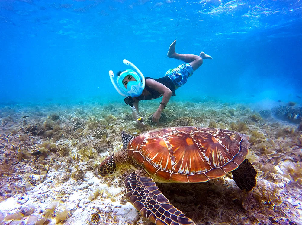Vollgesichts-Schnorchelmaske 180 ° Panoramablick, Silikon-Schnorchel-, Tauch- und Schwimmbrille mit trockenem Oberteil und 2 Schnorcheln, beschlagfrei und auslaufsicher