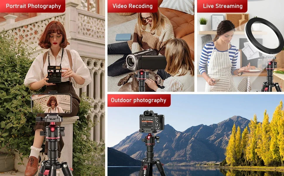 EVUMO GF2 Reisestativ, 1,73 m, Kamera aus Aluminiumlegierung, Telefon, leichter Ständer mit Arca Swiss Plate 360° °   Drehbarer Kugelkopf, 8 kg Belastung